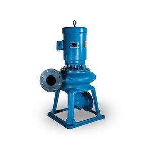 Lamellenpumpe 1