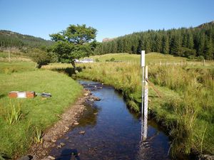 Wasserstand-Datenlogger