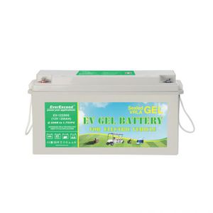 Säure-Blei-Gel-Batterie