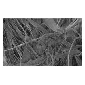 PTFE-Filtermedium 1