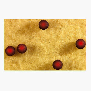 Polyesterfaser 1