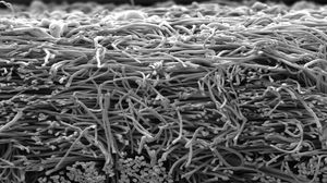Mikrofaser-Filtermedium 1