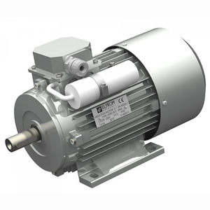 Motor / Anlauf und Betriebskondensator / einphasig / Asynchron / 220V