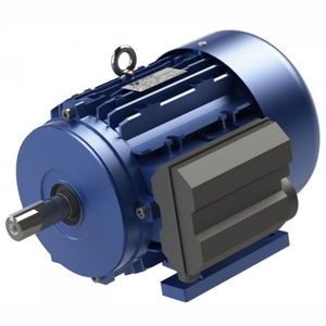 einphasiger Motor / Asynchron / 220V / 110 V