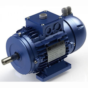 Motor mit integriertem Frequenzumrichter / AC / Synchron / mit hohem Wirkungsgrad