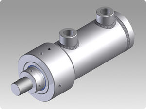 Hydraulikzylinder 1