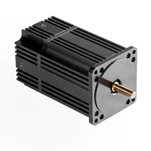 bürstenloser Servomotor