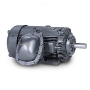 Motor für Gefahrenzonen 1