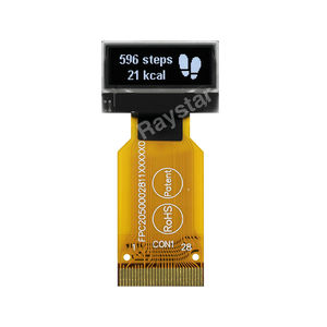 OLED-Displaymodul 1