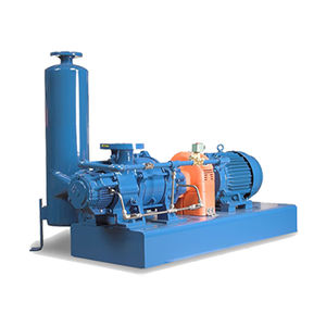 Flüssigringpumpe-Vakuumsystem