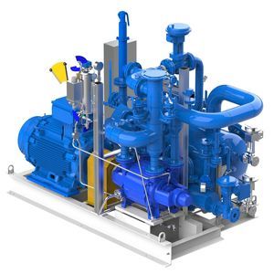 Flüssigringpumpe-Vakuumsystem