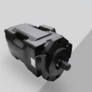 hydraulische Flügelzellenpumpe 1
