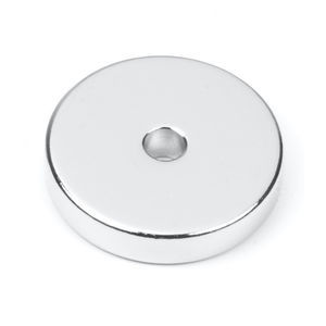 Ring-Magnet