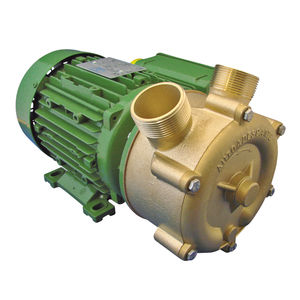 Seitenkanalpumpe