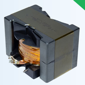 Magnetinduktor 1