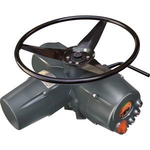 elektrischer Ventilantrieb 1