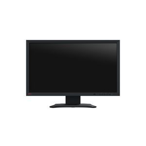 Videoüberwachungs-Monitor 1