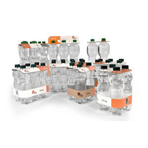 Kartonverpackung 1