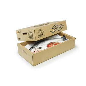 Kartonverpackung 1