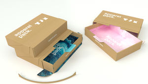 Kartonverpackung
