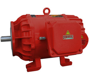 Synchronmotor 1