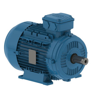 AC-Motor 1