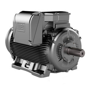 AC-Motor 1