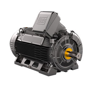 AC-Motor 1
