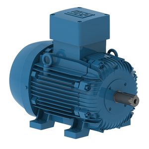 dreiphasiger Motor 1