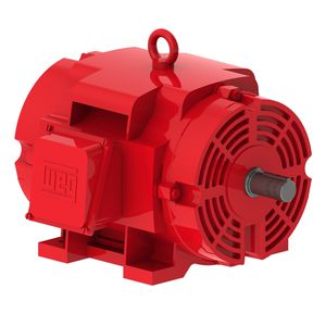 dreiphasiger Motor 1