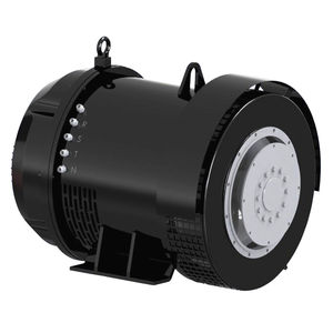 dreiphasige Lichtmaschine 1