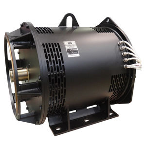 dreiphasige Lichtmaschine 1