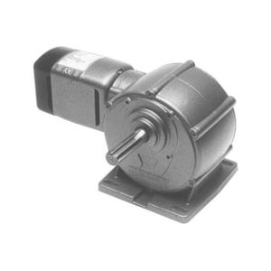 einphasiger Getriebemotor 1