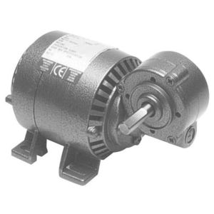 AC-Getriebemotor 1