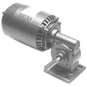 AC-Getriebemotor 1
