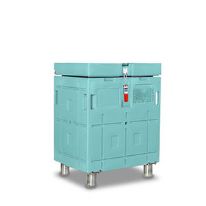 Container