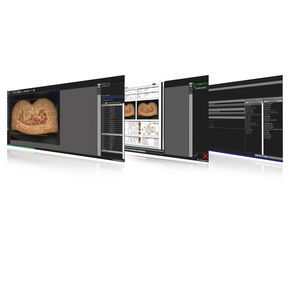 Messsoftware