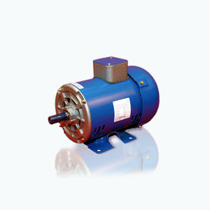 AC-Motor