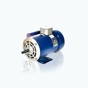 AC-Motor