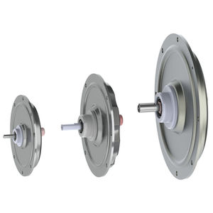 bürstenbehafteter Motor