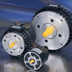 bürstenloser Servomotor 1