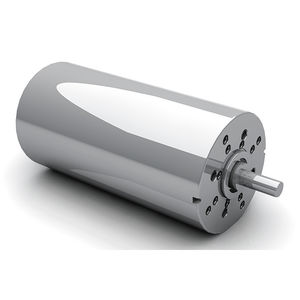 bürstenbehafteter Motor