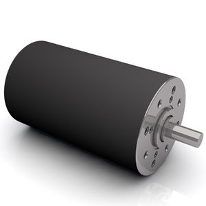 bürstenbehafteter Motor