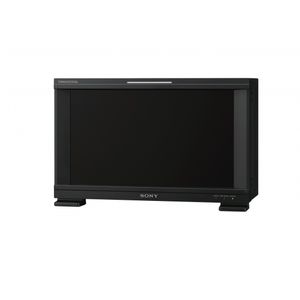 LCD-Monitor / digital / 17