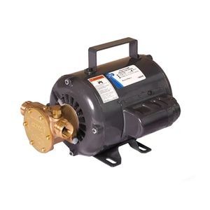 Impellerpumpe 1