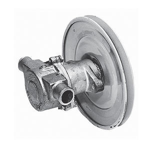 Impellerpumpe 1