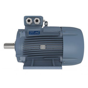 dreiphasiger Motor