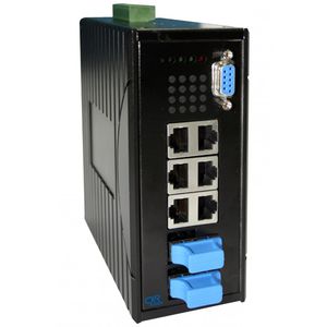 Ethernet-Switch / managed