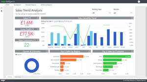 Reporting-Software 1