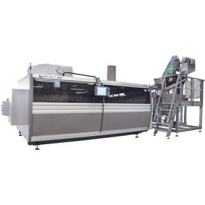 Streckblasformmaschine